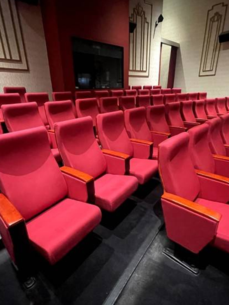 Rows of upholstered auditorium chairs arranged in theater hall interior